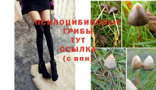 меф Белокуриха
