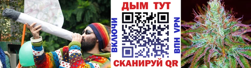 что такое   Тайга  Бошки Шишки семена 